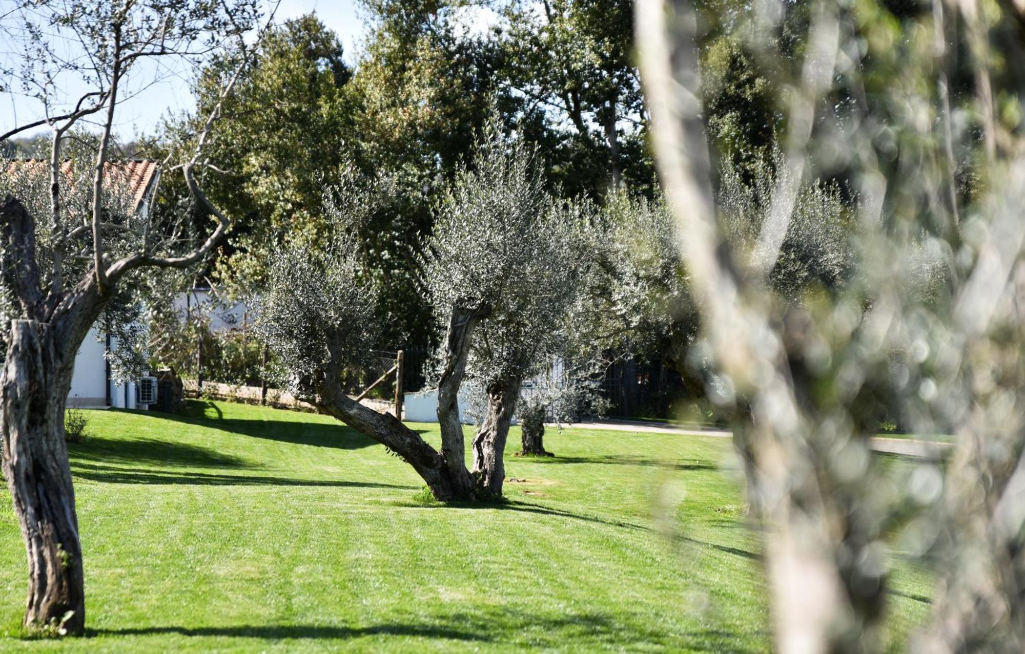 Vigna Caio Relais & Spa (Adults Only) Bracciano Kültér fotó